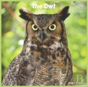 The Owl Calendar 2022