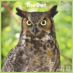 Bertrand.pt - The Owl Calendar 2022