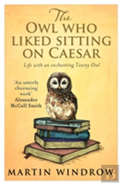 The Owl Who Liked Sitting On Caesar