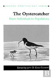 The Oystercatcher