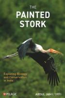 The Painted Stork