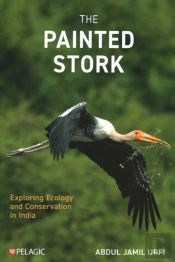 The Painted Stork