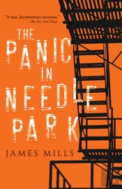 The Panic In Needle Park