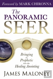 The Panoramic Seer