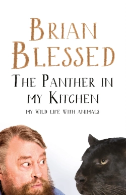 Bertrand.pt - The Panther In My Kitchen