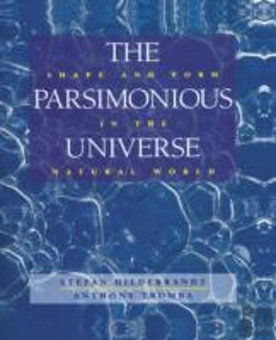 Bertrand.pt - The Parsimonious Universe