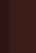 The Passion Translation New Testament With Psalms Proverbs And Song Of Songs (2020 Edn) Brown Faux Leather