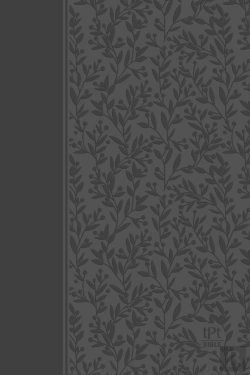 Bertrand.pt - The Passion Translation New Testament With Psalms, Proverbs And Song Of Songs (2020 Edn) Grey Leather