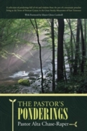 The Pastor'S Ponderings