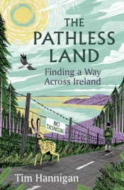 The Pathless Land