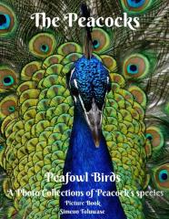 The Peacocks Peafowl Birds A Photo Collections Of Peacock'S Species Picture Book