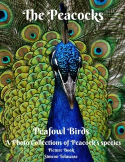 Bertrand.pt - The Peacocks Peafowl Birds A Photo Collections Of Peacock'S Species Picture Book