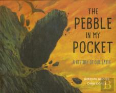 The Pebble In My Pocket