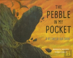 Bertrand.pt - The Pebble In My Pocket