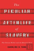 The Peculiar Afterlife Of Slavery