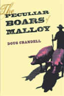 The Peculiar Boars Of Malloy