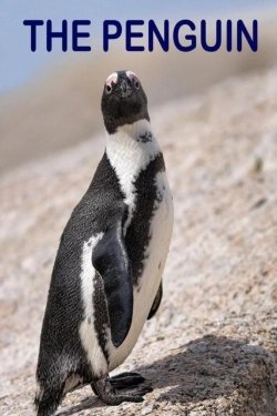 Bertrand.pt - The Penguin