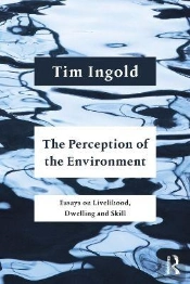 The Perception Of The Environment