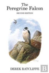 The Peregrine Falcon