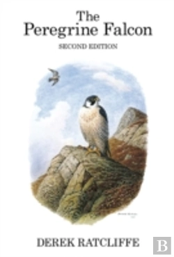 Bertrand.pt - The Peregrine Falcon