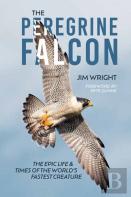 The Peregrine Falcon