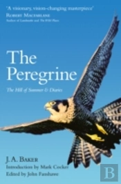 The Peregrine
