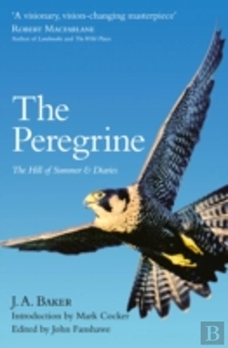 Bertrand.pt - The Peregrine