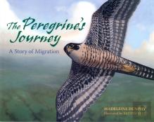 The Peregrine'S Journey