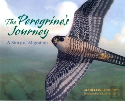 Bertrand.pt - The Peregrine'S Journey