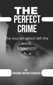The Perfect Crime!!!