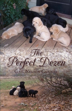 Bertrand.pt - The Perfect Dozen