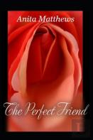 The Perfect Friend