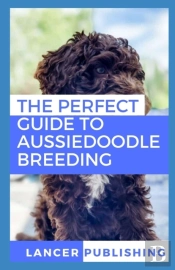 The Perfect Guide To Aussiedoodle Breeding
