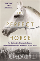 The Perfect Horse