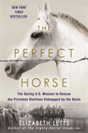 The Perfect Horse