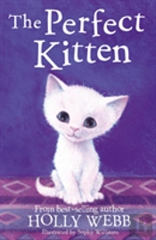 The Perfect Kitten