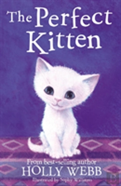 Bertrand.pt - The Perfect Kitten