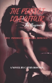 The Perfect Love Affair: The Beginning
