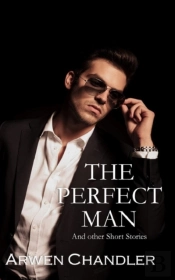 The Perfect Man
