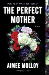 The Perfect Mother