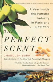 The Perfect Scent