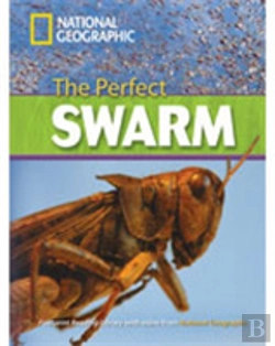 Bertrand.pt - The Perfect Swarm