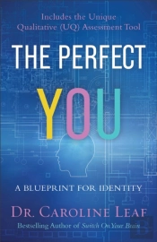The Perfect You Â€“ A Blueprint For Identity