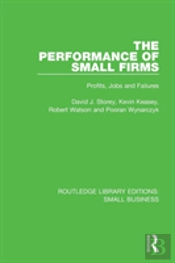 The Performance Of Small Firms