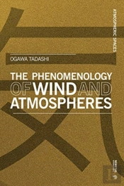 The Phenomenology Of Wind And Atmospheres