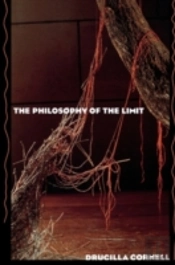 The Philosophy Of The Limit
