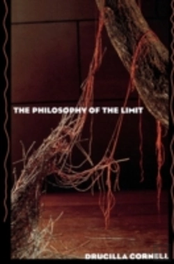 Bertrand.pt - The Philosophy Of The Limit
