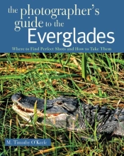 The Photographer'S Guide To The Everglades