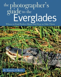 Bertrand.pt - The Photographer'S Guide To The Everglades