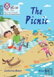 The Picnic